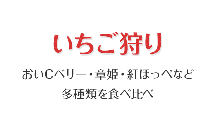 いちご狩り