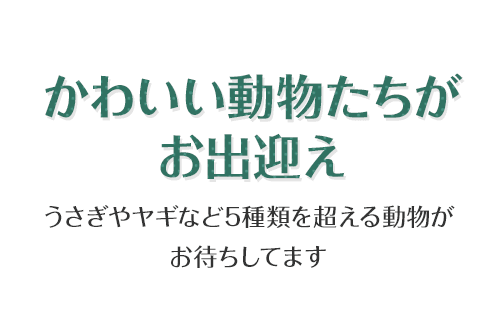 かわいい動物たちがお出迎え