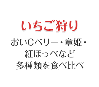 いちご狩り