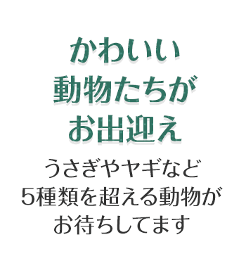 かわいい動物たちがお出迎え